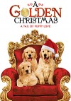 Золотое Рождество (2009) — скачать фильм MP4 — A Golden Christmas