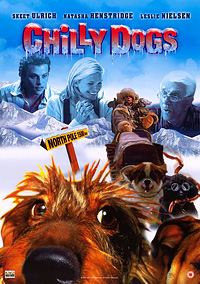 Снежный гонщик (2001) — скачать